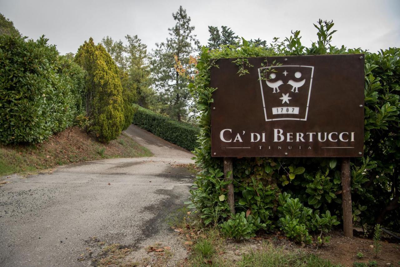 דירות Solignano Tenuta Ca Di Bertucci מראה חיצוני תמונה