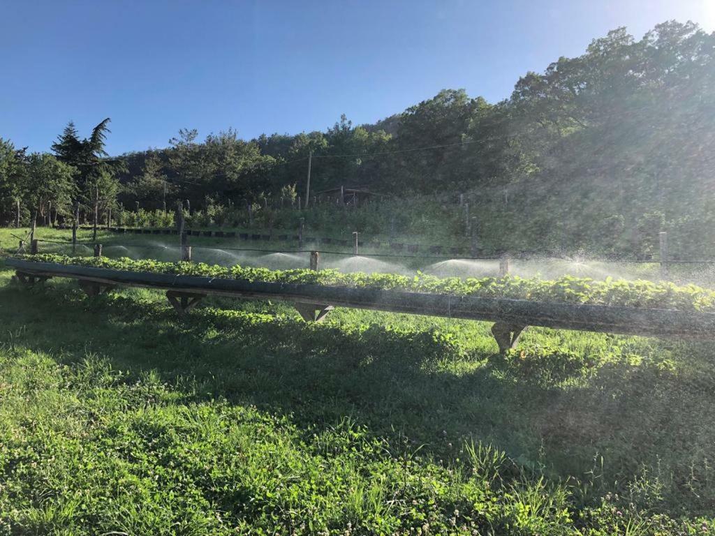 דירות Solignano Tenuta Ca Di Bertucci מראה חיצוני תמונה